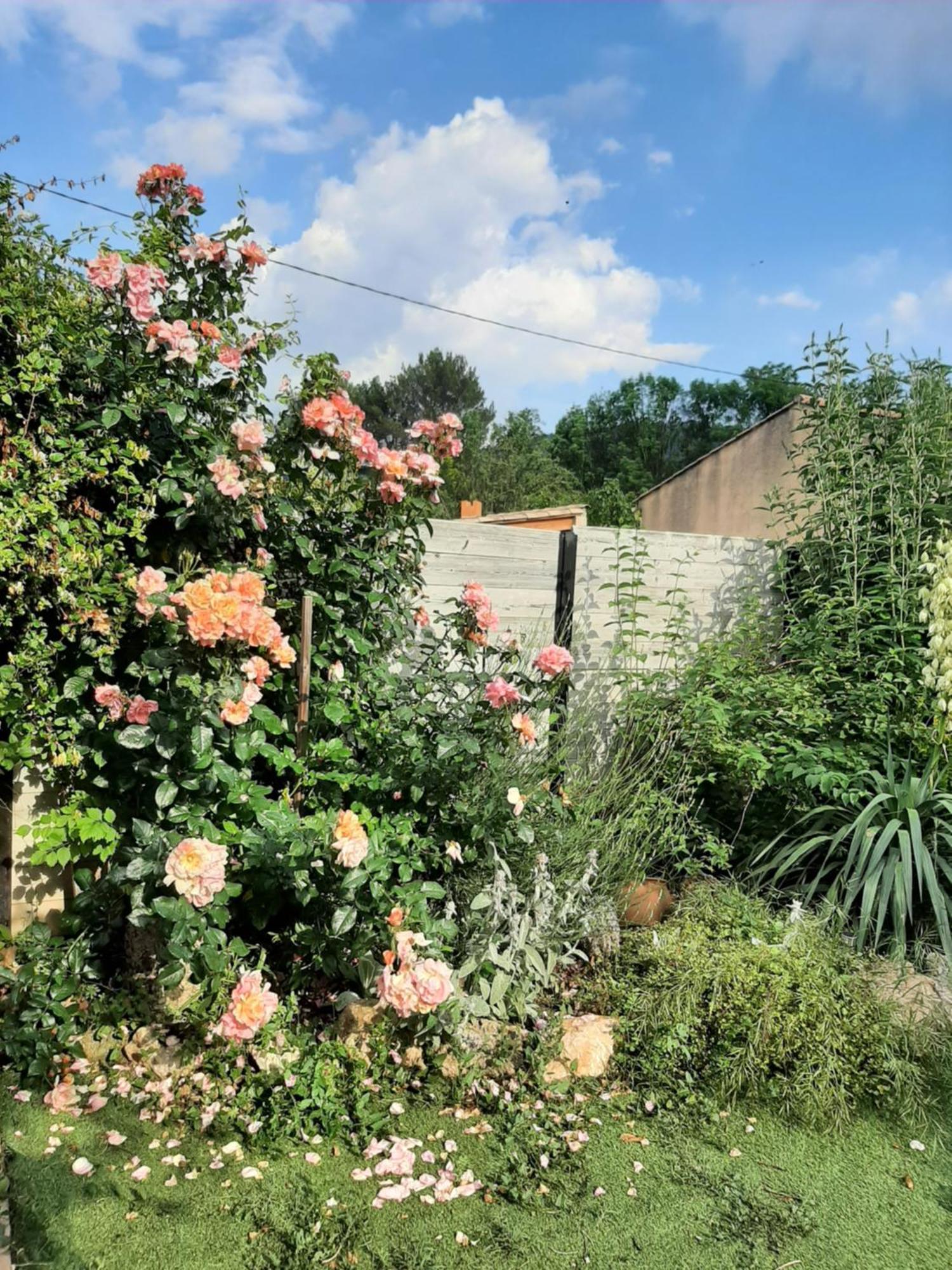 Eclats du Sud Villa Auriol Værelse billede